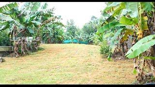 Plot For Sale In Kottayam  30 Cent  2.5 Lakh  Contact Owner
