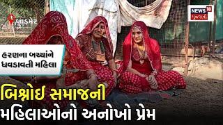 Bishnoi સમાજની મહિલાઓ હરણના બચ્ચાને કરાવે છે સ્તનપાન  Women  Breastfeed  Deer  News18 Gujarati