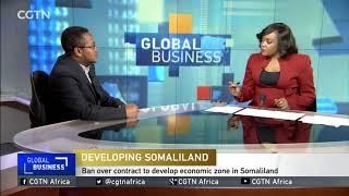 Somalia bans Dubai ports World from operating in Somaliland