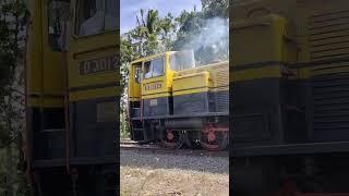 Suara kereta api lokomotif D30124 Ambarawa  HUT RI saat 17 Agustus 2023 #levelcrossing