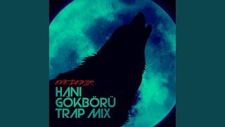 Hani Gökbörü Trap mix