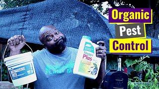 Organic Pest Control  Pill Bugs