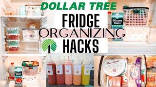 REFRIGERATOR ORGANIZATION  DOLLAR TREE Organization Hacks 2020 