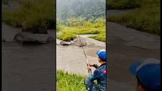 Mancing Nilem di kira Kepek #shorts