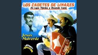 Jesus Malverde