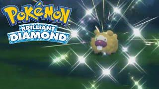 Shiny Bidoof in Brilliant Diamond Safari Week 2023