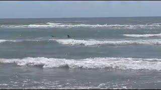 WATCH Man captures shark on camera before attack on South Padre Island