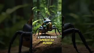 5 INSETOS MAIS APELÕES DO MUNDO #animals #curiosidades #mundoselvagem #curiosidades