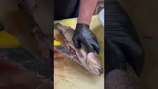 آموزش سریع پاک کردن ماهی قزل آلا