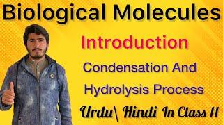 introduction of Biological Molecules Condensation and Hydrolysis Process