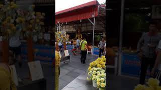 Buddha Temple in Pattaya