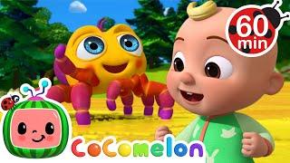 Itsy Bitsy Spider ️   CoComelon   Preschool Learning  Moonbug Tiny TV