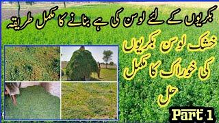 How Make Alfalfa hay for goat.. Ghar par lusan kie hay banay Urud and Hindi PART 1 خشک لوسن کی ہے