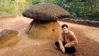 Mushroom Trip in India  