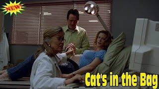 Breaking Bad 2008 Season 1 - Episodes 2  Cats in the Bag Full Episodes HD