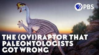 The OviRaptor That Paleontologists Got Wrong