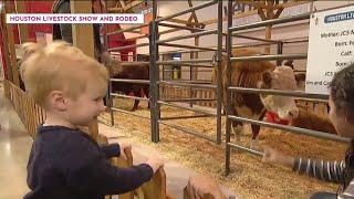 Your guide to RodeoHouston with kids  HOUSTON LIFE  KPRC 2