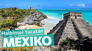 Yucatán – Mexikos Urlaubsparadies  ARD Reisen