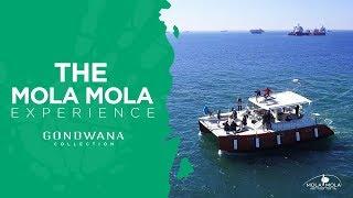 A Namibian Moment - Mola Mola Safaris Namibia