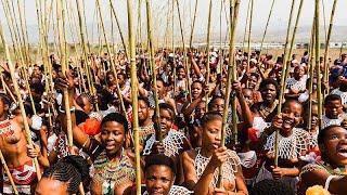 South Africa Joy as Zulu reed dance festival returns  Africanews