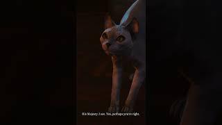 The most accurate portrayal of a cat. #playstation #baldursgate3 #cat