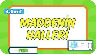 Maddenin Halleri  4.Sınıf Fen #2024