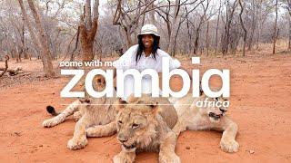 Walking With LIONS in Zambia Africa  Best Things To Do & More PT.2