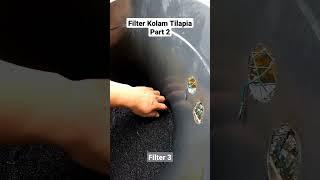 Filter Kolam Tilapia Part 2