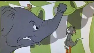 Tom And Jerry English Episodes - Jerry-Go-Round - Cartoons For Kids