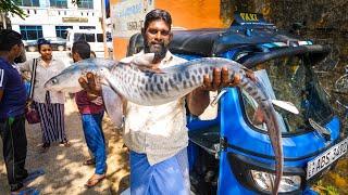 Amazing Sri Lankan Food - ARMY SPECIAL FORCES in Batticaloa Sri Lanka