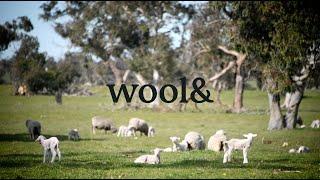 Wool&s traceable Merino wool collection