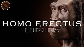 Homo Erectus The Upright Man  Prehistoric Humans Documentary