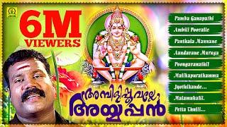 Ambilipoovalle Ayyappan  Devotional Songs of Kalabhavan Mani  6 Million Views