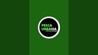 PESCA URBANA - Cristian Malloni está en vivo