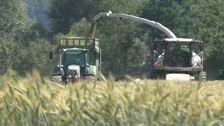 Gasversorgung 2022 Wir füllen die Lücke 80 ha Triticale  für die Zwei Biogasanlage in der Thermen R