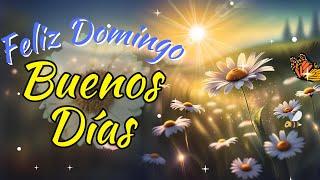 Feliz Domingo Un Nuevo Amanecer con Bendiciones y Gratitud