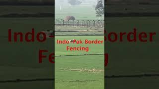 fencing India Pakistan Border #shorts #indopak_border_fencing #pakistanipeople_reaction #fencing #pk