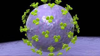 HIV Protease Inhibitors