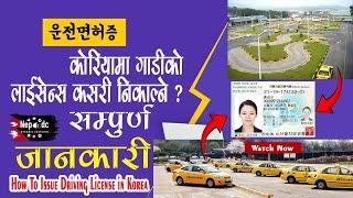 driving license in korea  how to get drivers license in korea  korea ma gadiko icense banaune