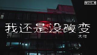 大壮 - 我还是没改变【動態歌詞Lyrics Video】