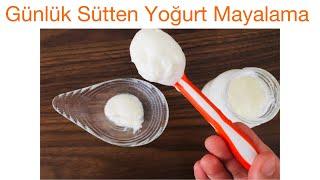 Pastörizegünlük sütten yoğurt mayalama Süt alerjik bebeklerde yoğurda geçiş yoğurt nasıl yapılır
