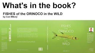 FISHES of the ORINOCO in the WILD book by Mikolji