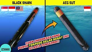 MIMPI BURUK KAPAL PERANG Inilah 5 Torpedo Kapal Paling Mematikan di Asia Tenggara 