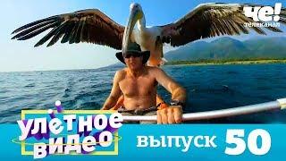 Улетное видео  Выпуск 50