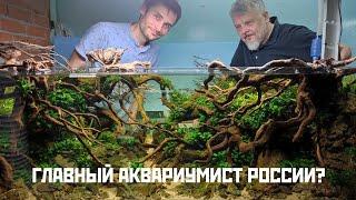 Идеальные аквариумы Александра Малетина. Акваскейпы растения и креветки из Сибири. Вдохновляйтесь