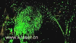 Уличные лазерные установки Garden Laser