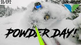 2024 POWDER DAY at SNOWBIRD