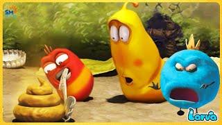 LARVA NEW VERSION TOP 40+ EPISODE  NEW COMEDY VIDEO 2024  MINI SERIES FROM ANIM  Larva Official
