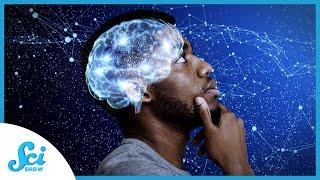 How Our Brains Learn Consciousness