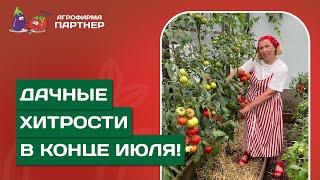 УРОЖАЙ В КОНЦЕ ИЮЛЯ РЕЗУЛЬТАТЫ И ПРАКТИЧЕСКИЕ СОВЕТЫ ОТ МАРИНЫ РЫКАЛИНОЙ